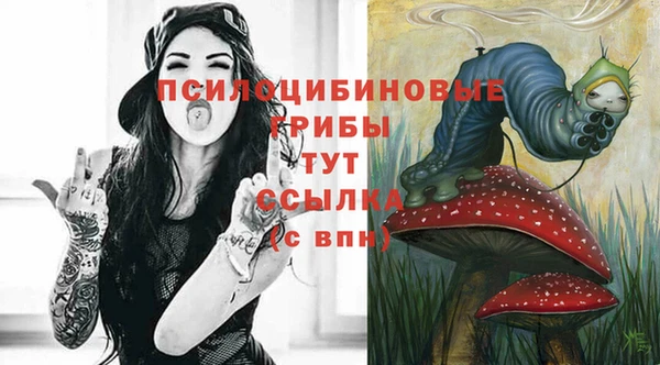 шишки Волосово