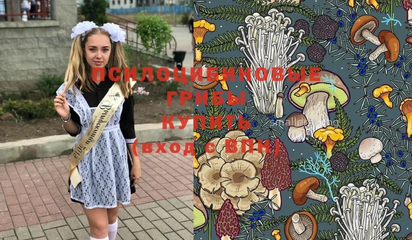 спиды Волоколамск