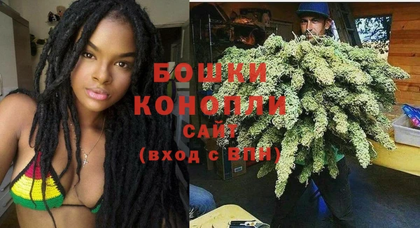 шишки Волосово